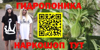 Альфа ПВП Уссурийск