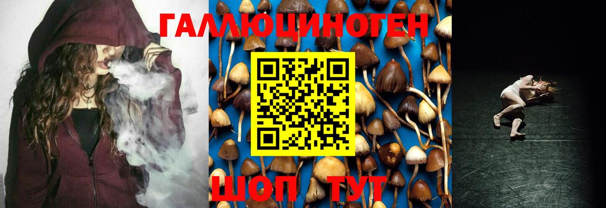 Псилоцибиновые грибы мицелий Протвино